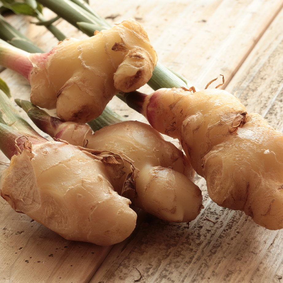 生姜の加工・卸売